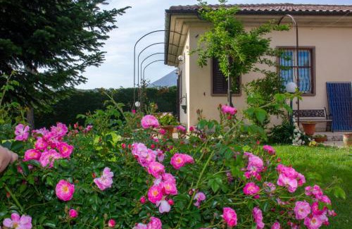 Avezzano Apartment | Villa Giulia: Ideal Family Getaway with Kitchen & Pets Welcome