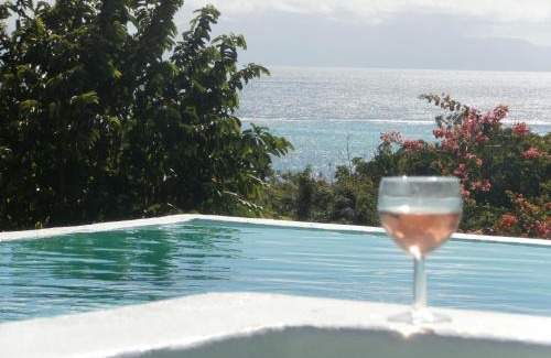 Capesterre-de-Marie-Galante Villa | Elegant Villa Alizea: Oceanfront Escape with Pool & Hot Tub