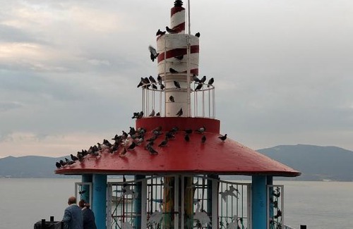 Chapala Centro Hotel | Villa Guadalupe: Oceanfront Retreat with Pool & Child Friendly