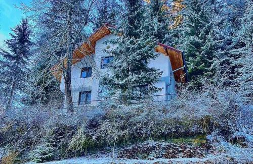 Chepelare Villa | Discover Villa Gusto: Pet-Friendly Retreat Near Pamporovo