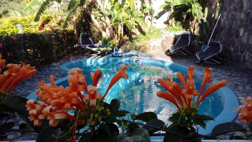 La Grande Montee Bed & Breakfast | Discover Villa Hélèna B&B: Family-Friendly with a Pool