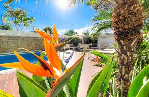 San Vicente del Raspeig Villa | Villa Haygón: Private Pool, BBQ & Sauna with Ocean Views