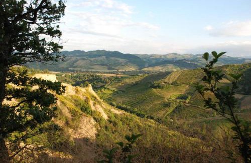 Casalfiumanese Villa | Discover Villino: Your Ideal Budget-Friendly Getaway