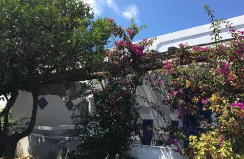 Panarea Apartment | Family-Friendly Villa in Panarea - Nespolo with Great Reviews