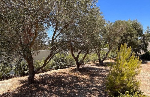San Pietro in Bevagna Villa | Beautiful Villa in Salento with Garden & Family-Friendly Amenities