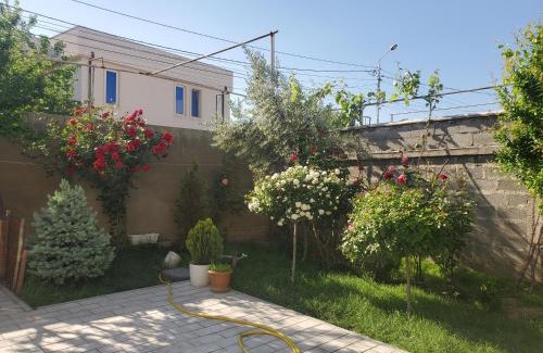 Tbilisi House | Top-Rated Guesthouse in Tbilisi with Family-Friendly Amenities