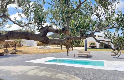 Hammam Bent Djedidi Villa | Inviting Thinissut Guest House: Oceanfront Retreat Awaits