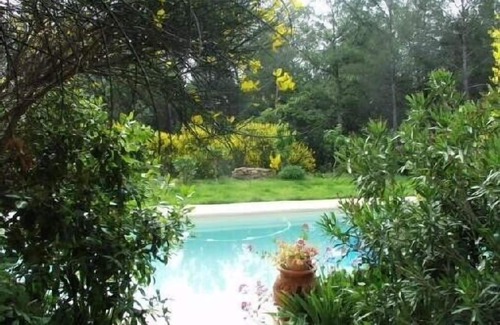 Trets Villa | Peaceful Villa Surrounded by Majestic Pine Forest Retreat