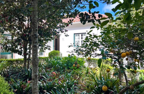 Sintra Apartment | Villa inn Sintra