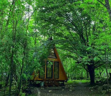 Tsqaltubo Cabin | Family-Friendly Cottage Villa Ioseliani with Ocean Views