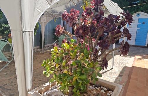 Crotone Bed & Breakfast | Idyllic B&B Villa Irma: Oceanfront Retreat with Pool