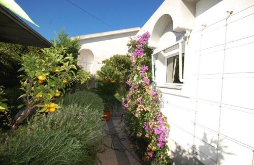 Vantacici House | Villa Jazz: Family-Friendly Retreat with Ocean Views