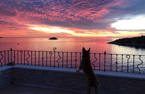 Vela Luka Apartment | Villa Kamen Blue Apartment: Oceanfront Escape with Pool