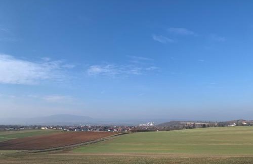 Gollheim House | Discover Villa Kerzenheimer Tor: Pet Friendly & Family Ready