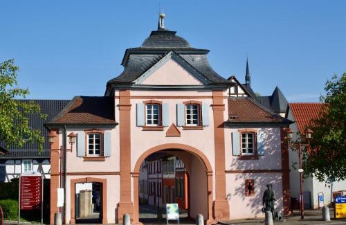 Gollheim House | Discover Villa Kerzenheimer Tor: Pet Friendly & Family Ready