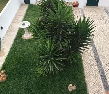 Porto Covo House | Experience Villa Kethellen: Eco-Friendly Oceanfront Retreat