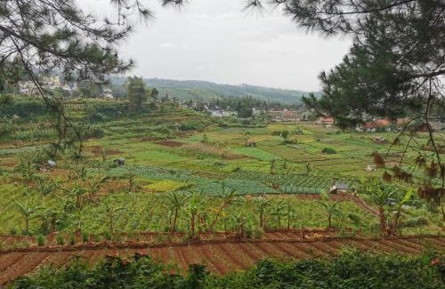 Cipanas Villa | Budget-Friendly Villa Kota Bunga: 4-Star Family Retreat
