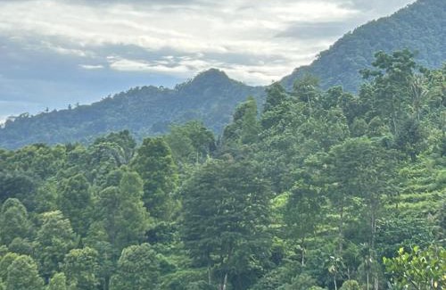 Wanagiri House | Pet-Friendly Villa Kubu Gitgit: Guest Rated 9.8/10