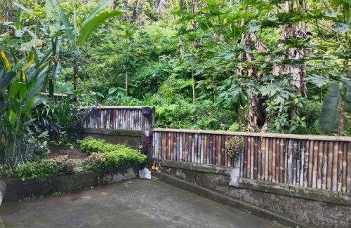 Wanagiri House | Pet-Friendly Villa Kubu Gitgit: Guest Rated 9.8/10