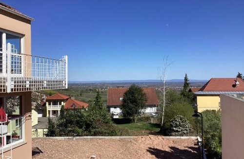 Weyher in der Pfalz House | Family-Friendly Villa Kunterbunt with Pool and Pet Access