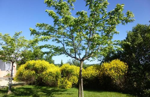 Saint-Jean-de-la-Blaquiere House | Charming Villa Le Tournesol: Oceanfront Bliss Awaits