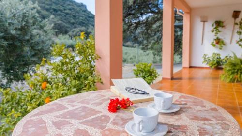 Priego de Cordoba House | Relax at Villa la Quinta Priego de Córdoba with Private Pool