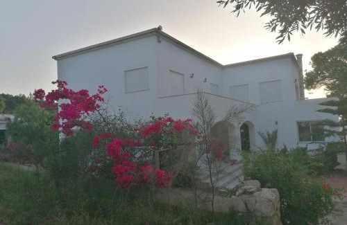Bizerte Villa | Villa Lallazohra: Ocean View Retreat with Private Beach