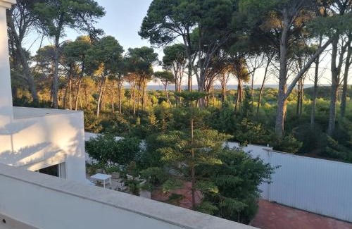 Bizerte Villa | Villa Lallazohra: Ocean View Retreat with Private Beach