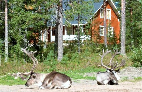 Rovaniemi Villa | Villa Lapintiira: Relaxing Spa Retreat with Top Reviews