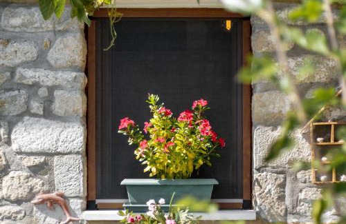 Lazarata House | Discover Villa Lazar: Accessible & Family-Friendly Retreat