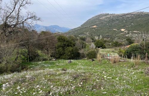Fanari House | Villa Lazaros: Pet-Friendly Retreat with Oceanfront Views