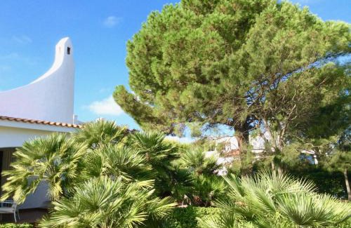 Rosa Marina House | Experience Villa Le Palme: Oceanfront & Pet-Friendly Stay