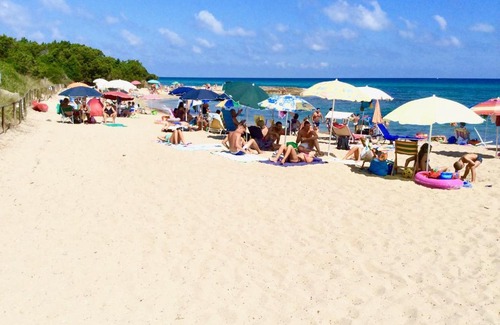 Rosa Marina House | Experience Villa Le Palme: Oceanfront & Pet-Friendly Stay