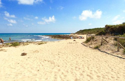 Rosa Marina House | Experience Villa Le Palme: Oceanfront & Pet-Friendly Stay