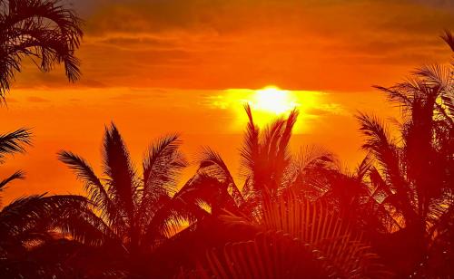 Montvert-les Bas Villa | Villa Lebon'Heur: 4-Star Stay with Oceanfront Bliss