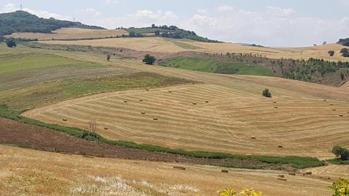 Montenero di Bisaccia House | Pet-Friendly Holiday Homes with Ocean Views in Italy