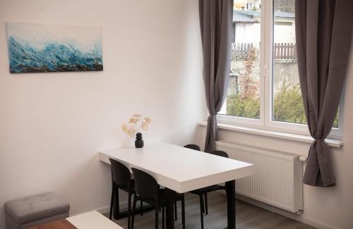 Karlovy Vary Apartment | Villa Leopold - apartmánový dům