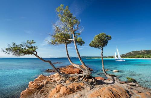 Hameau de Palombaggia Resort | Family-Friendly Villa Les Lieges de Palombaggia - Rated 9/10