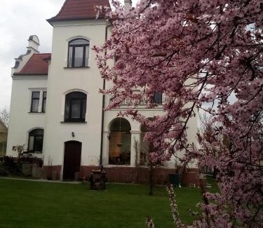 Bechyne House | Cozy Villa Liduška: Family-Friendly Café & Dining