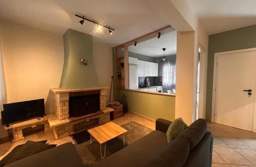 Arkochori Apartment | Villa Liolios