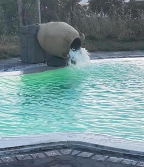 Forio Villa | Villa Liuba con piscina e sauna