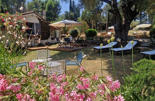 Oletta Villa | Relax at Villa Loleado - Oceanfront with Private Pool