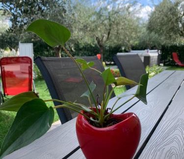 San Benedetto di Lugana Apartment | Unforgettable Villa Lori Apartments by Garden and Beach