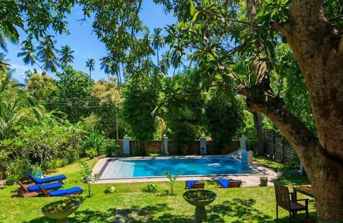 Tangalle Bed & Breakfast | Villa Lyvie: Top-Rated Ayurvedic Retreat with Pool & Breakfast
