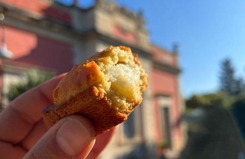 Lecce Bed & Breakfast | Historic Villa Maggiulli Alfieri with Breakfast & Kitchen