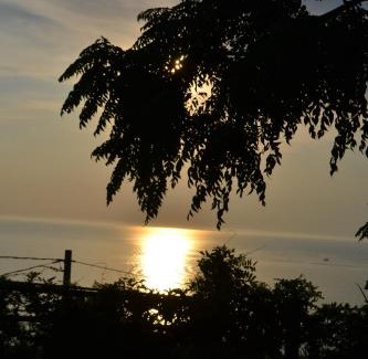 Agropoli House | Pet-Friendly Villa Malandrino Guest House with Pool & Breakfast