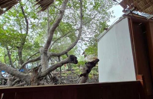 Rajabasa Villa | Discover Villa Mangrove Pulau Pahawang with Oceanfront Bliss
