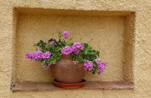 Yecla House | Villa María: Oceanfront Retreat with Pool & Pet-Friendly Stays