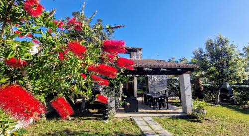 Cala Sinzias Villa | Villa Marianna: Rated 10/10 with Oceanfront Views