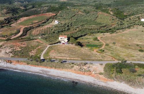 Monemvasia Apartment | Oceanfront Villa Marifay: Pet Friendly & Top-Rated Stay